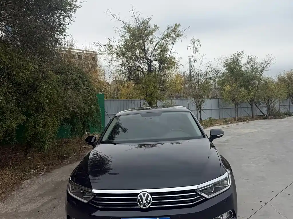 Volkswagen Magotan — миниатюра 2