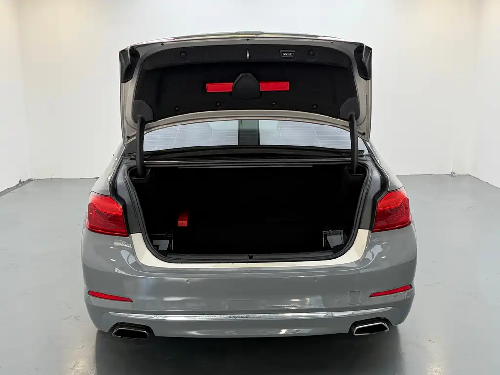 BMW 5 SERIES NEW ENERGY