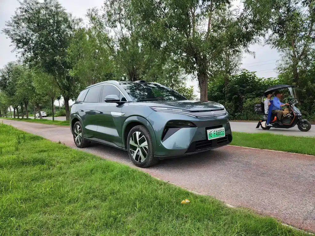 BYD Дон Л. — миниатюра 3