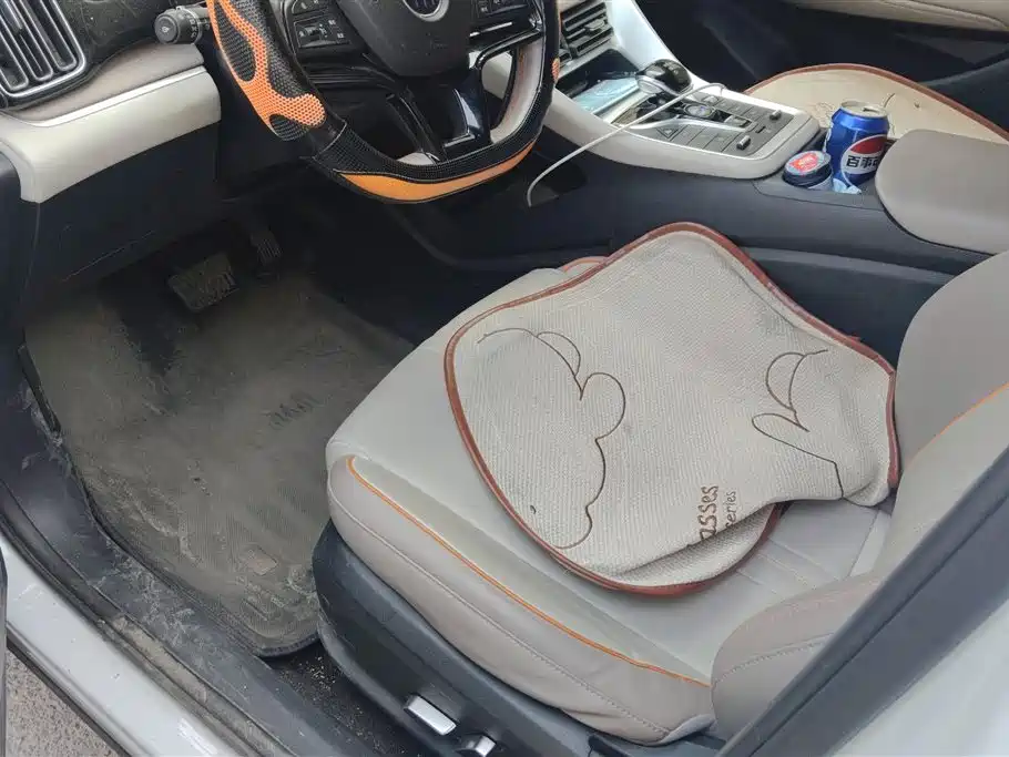 BYD SONGJIANG NEW ENERGY