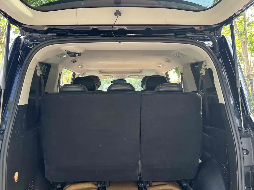 SAIC MAXUS CHASE G20