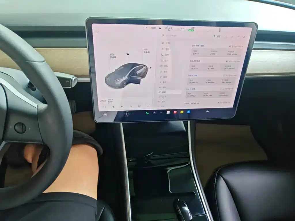 Tesla Model 3 — миниатюра 13