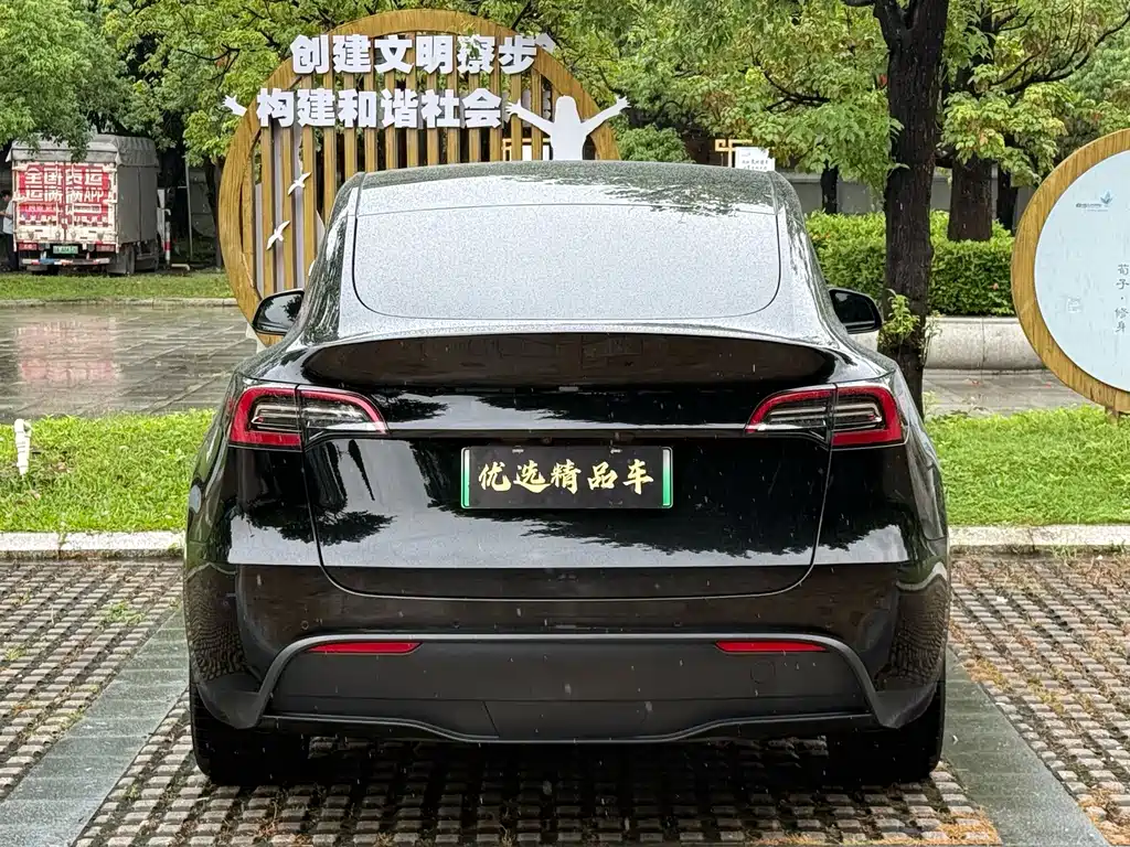 Tesla Model Y — фотографии объявления, Фото 15