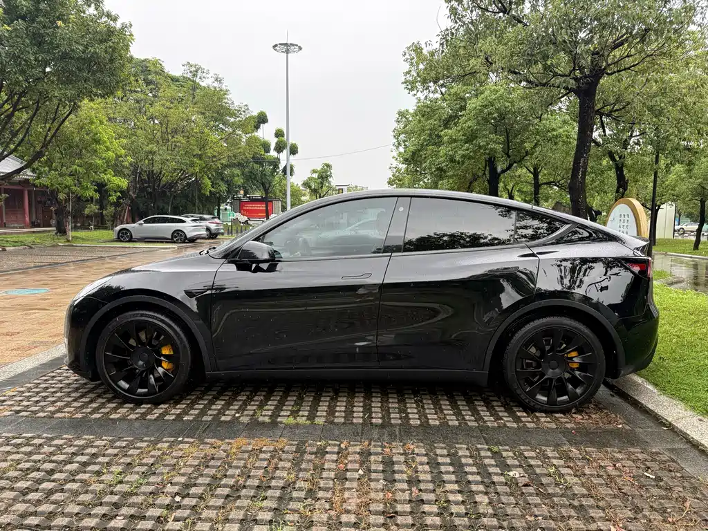 Tesla Model Y — фотографии объявления, Фото 17