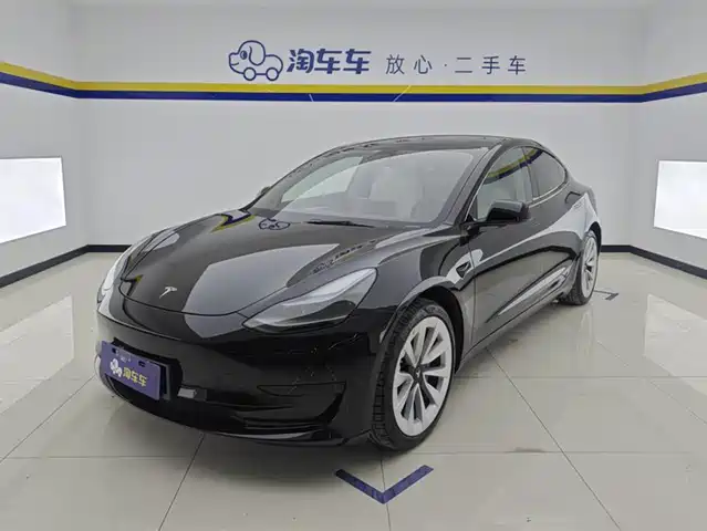TESLA MODEL 3 2021