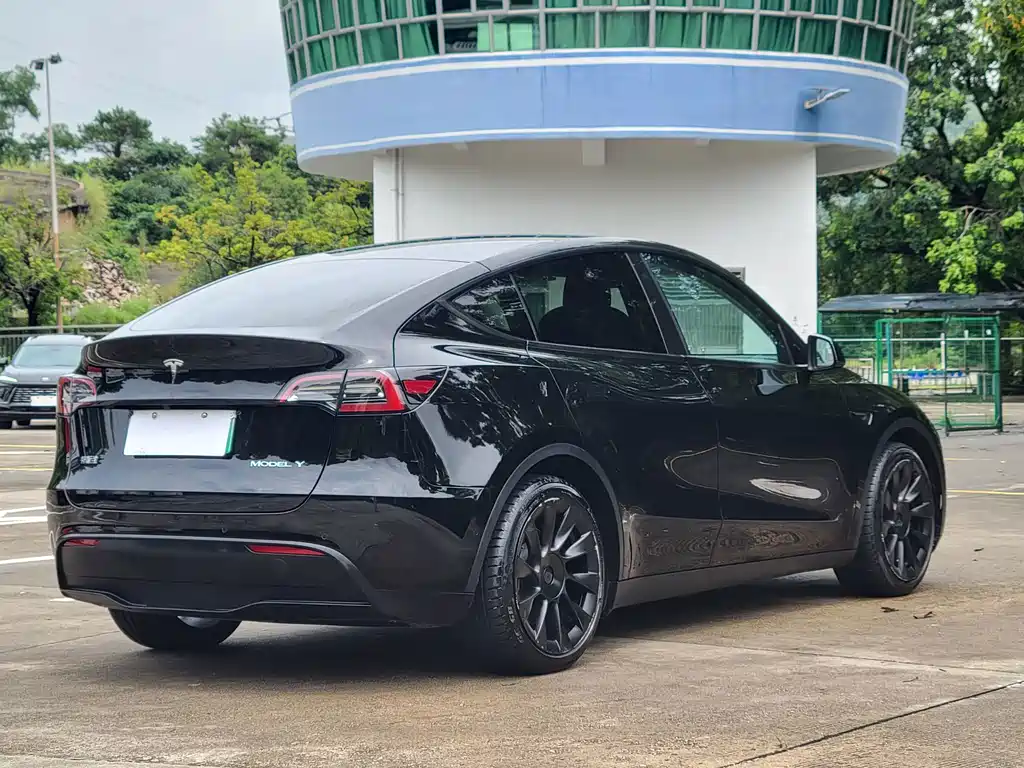 Tesla Model Y — миниатюра 14