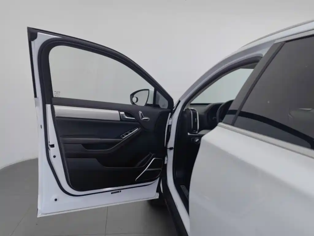 BYD Tang New Energy — миниатюра 8