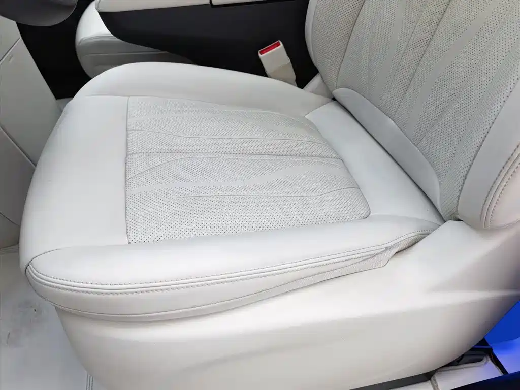 BUICK GL8 NEW ENERGY