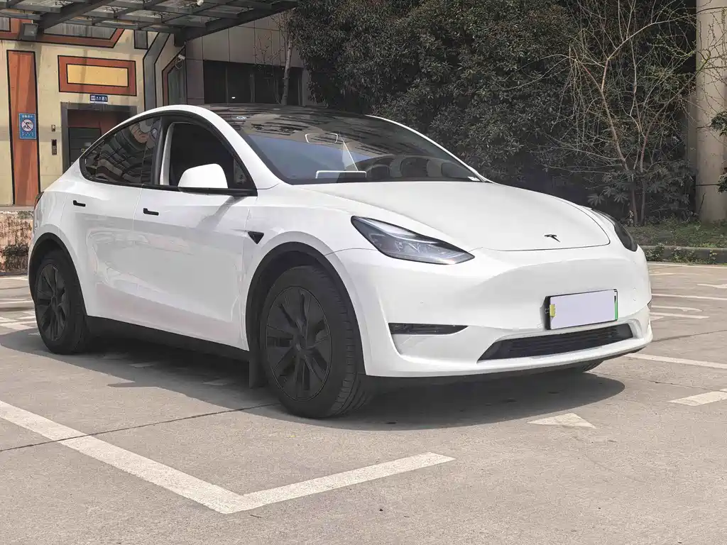 Tesla Model Y — миниатюра 3