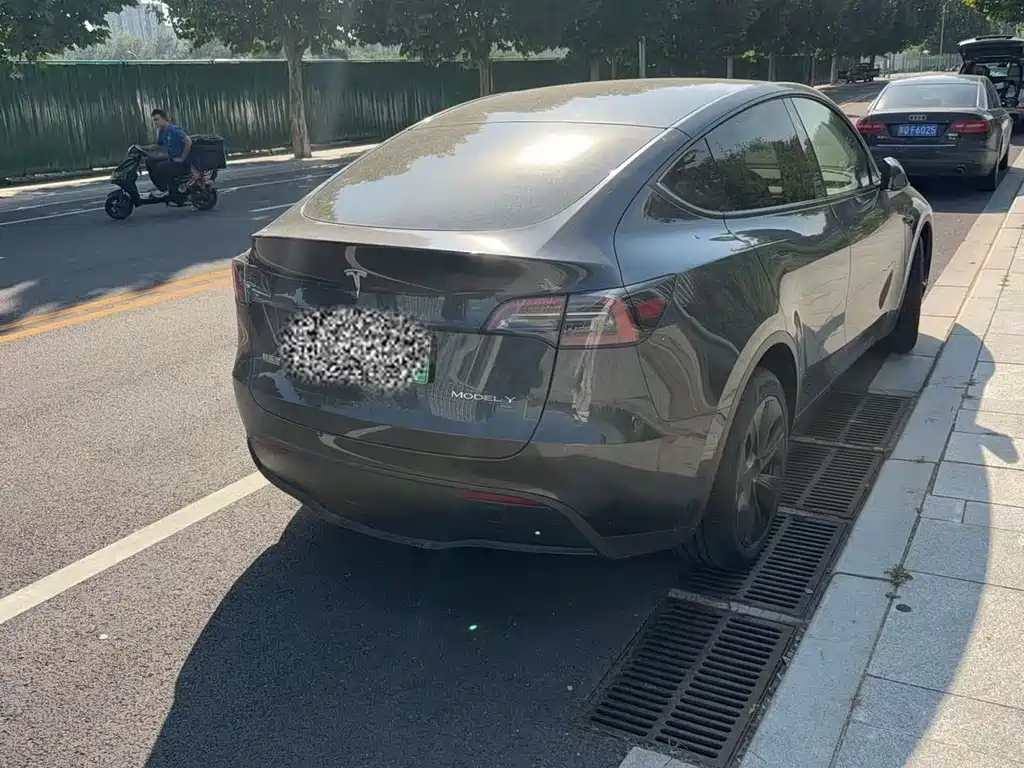 Tesla Model Y — миниатюра 7