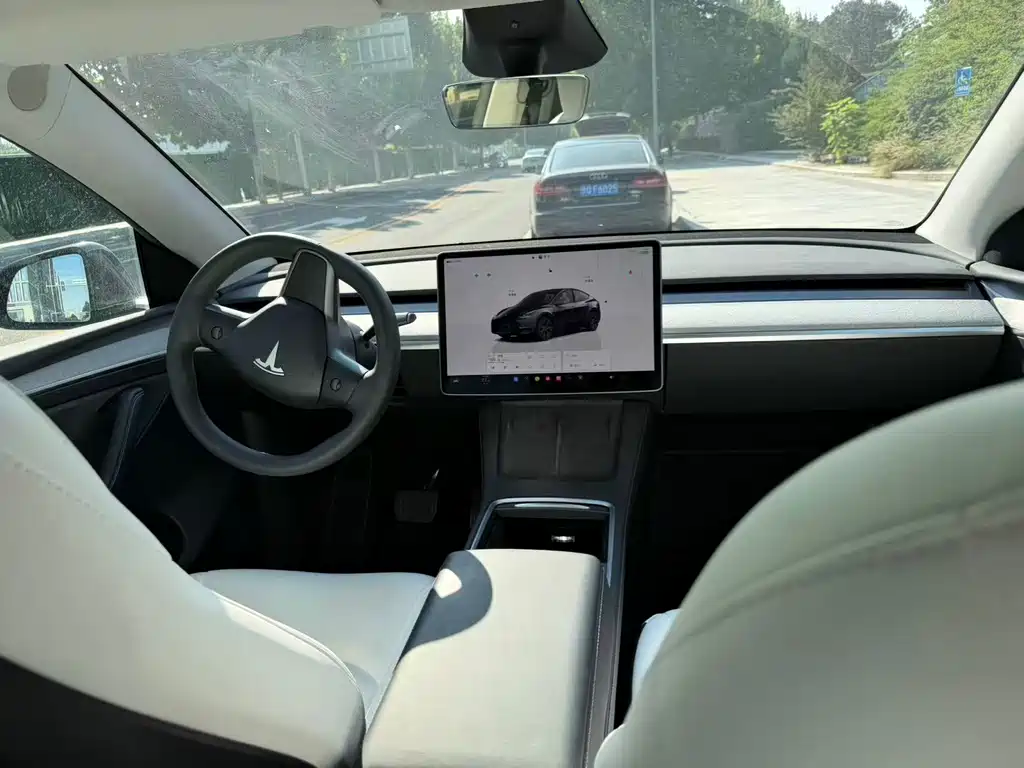 Tesla Model Y — миниатюра 2