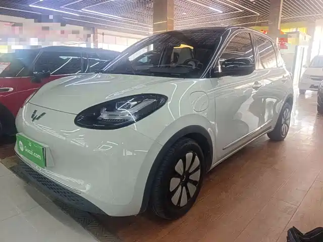 2023 Wuling Motors Binguo