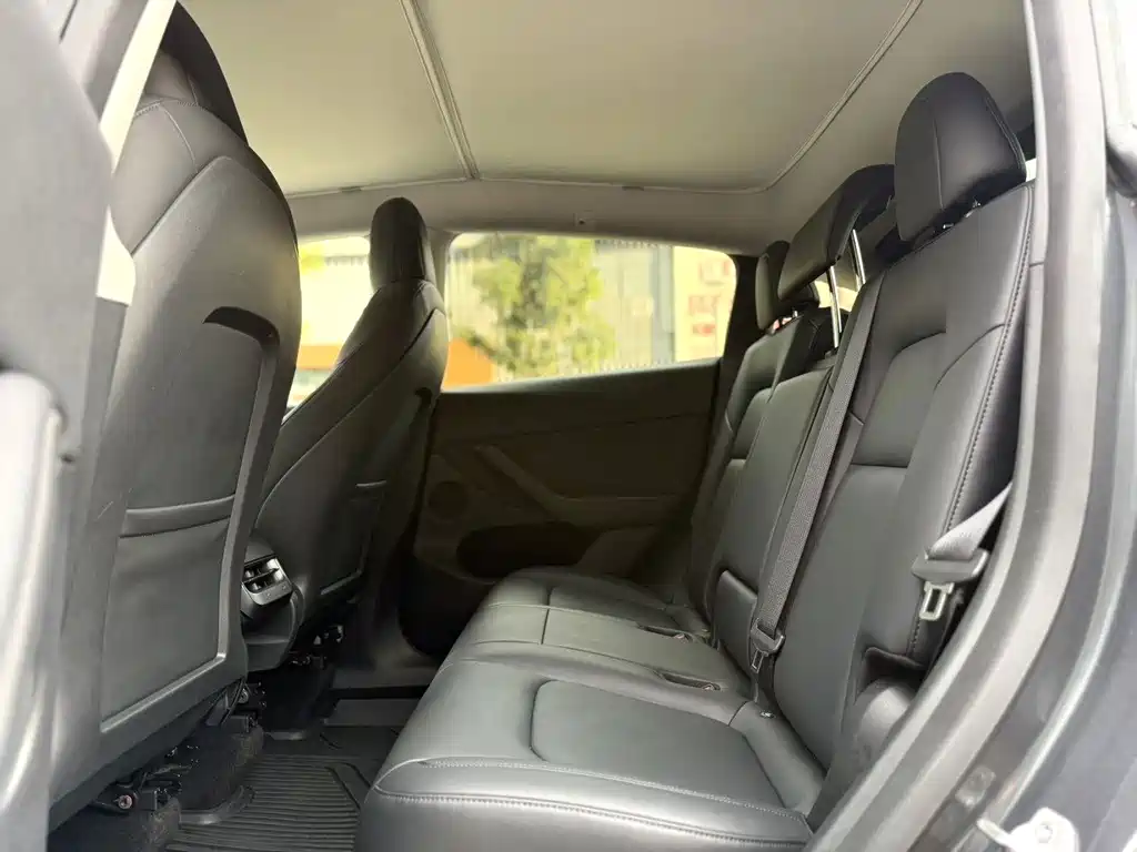 Tesla Model Y — миниатюра 4