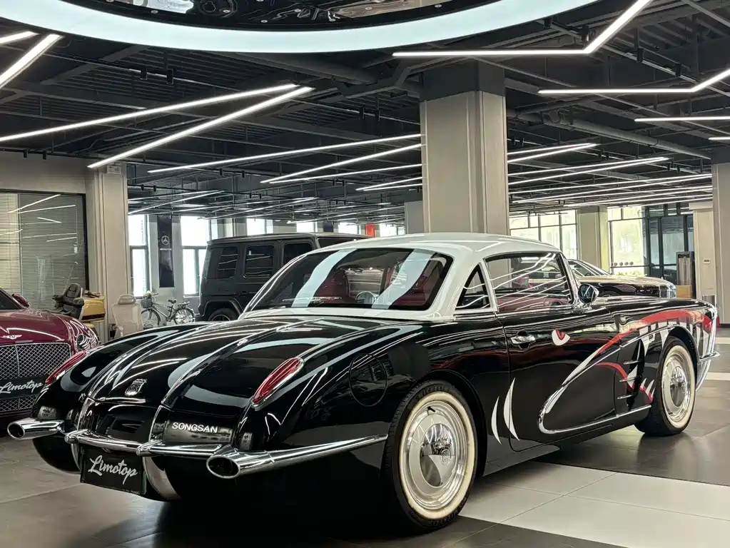 SONGSAN MOTORS SS DOLPHIN