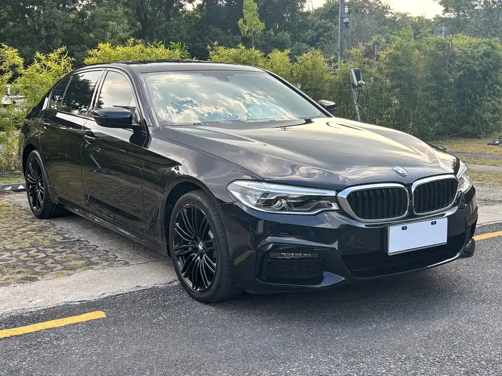 BMW 5 Series — миниатюра 3