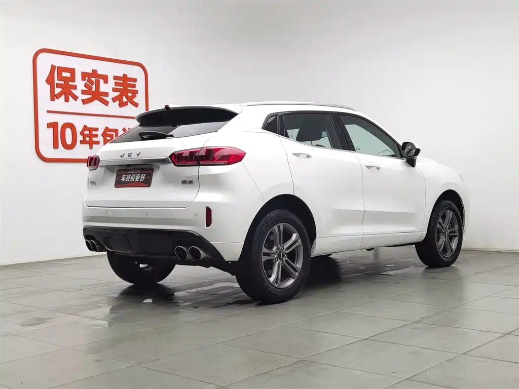 WEI PAI WEI BRAND VV5