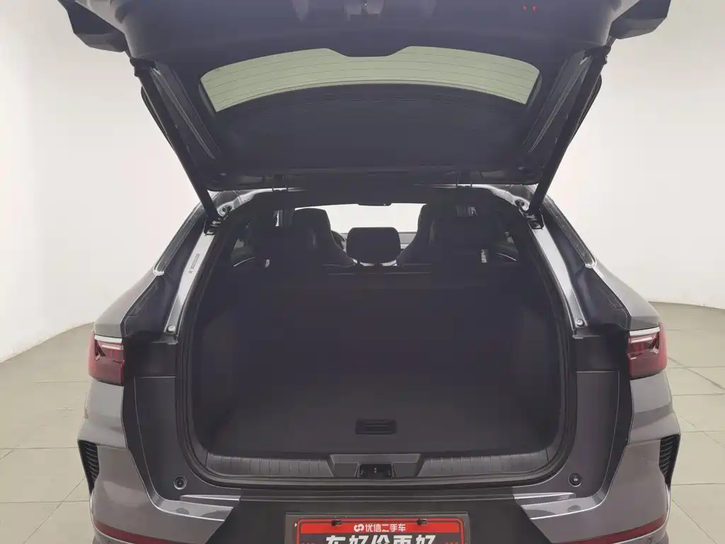 BYD PLUS New Energy — миниатюра 16