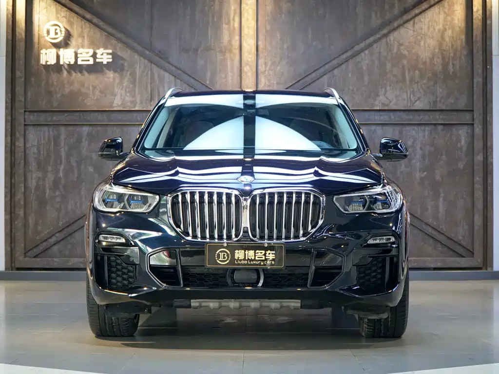 BMW X5 2019 xDrive40i Premium M Sport