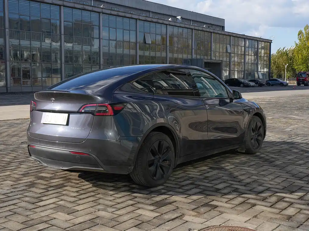 Tesla Model Y — миниатюра 5