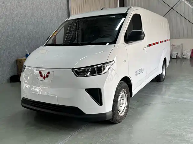 WULING WULING YANGGUANG 2024