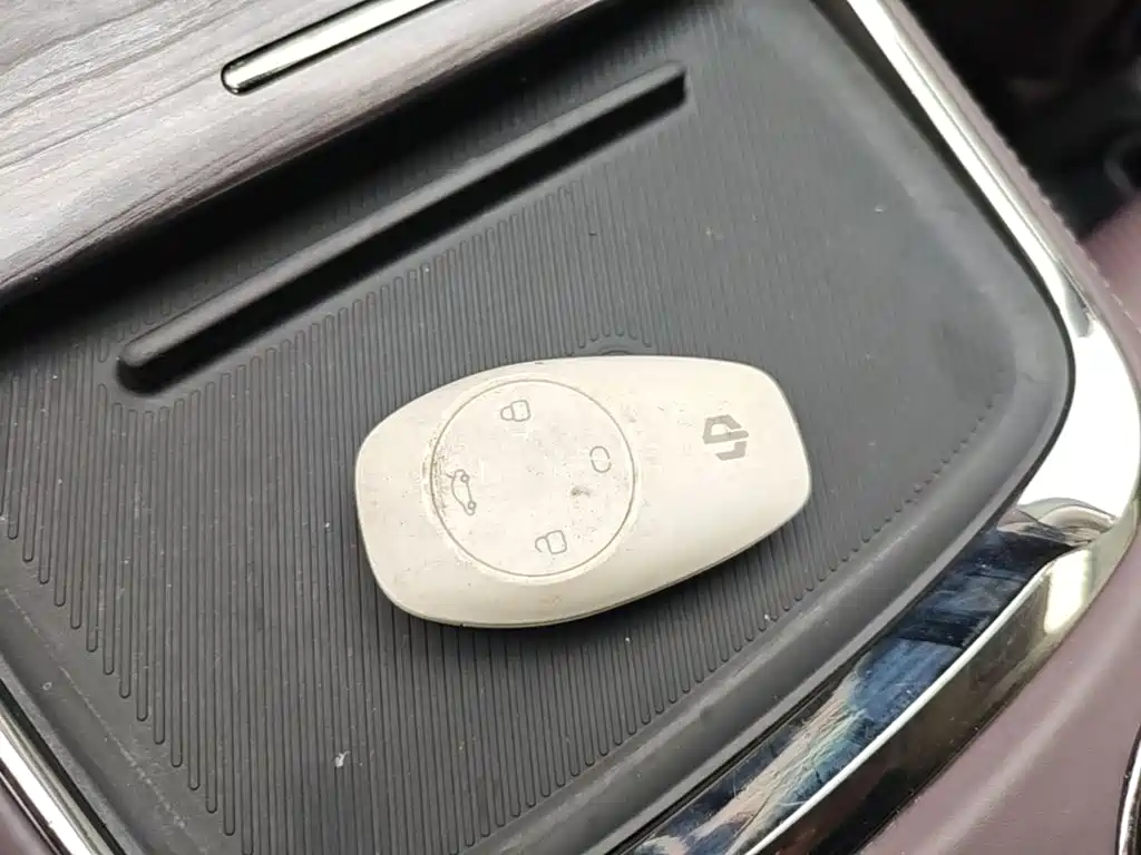 Leapmotor Leapmotor C11 — миниатюра 9
