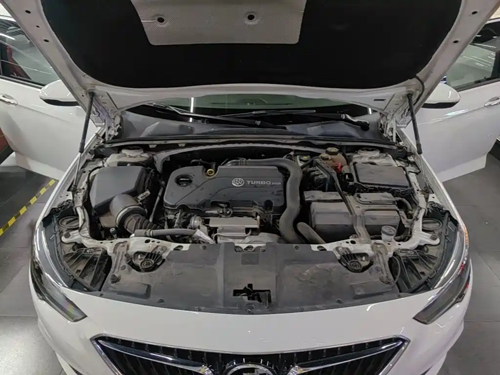 Buick Regal — миниатюра 20