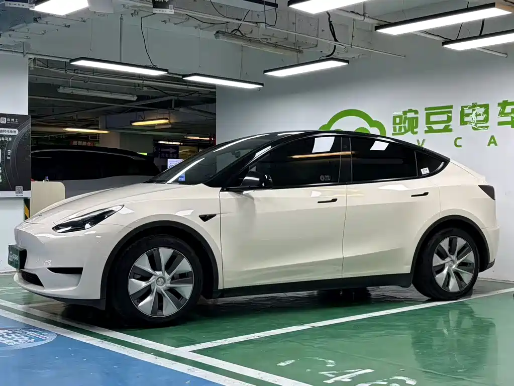Tesla Model Y — миниатюра 2