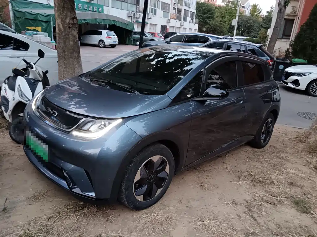 BYD Dolphin