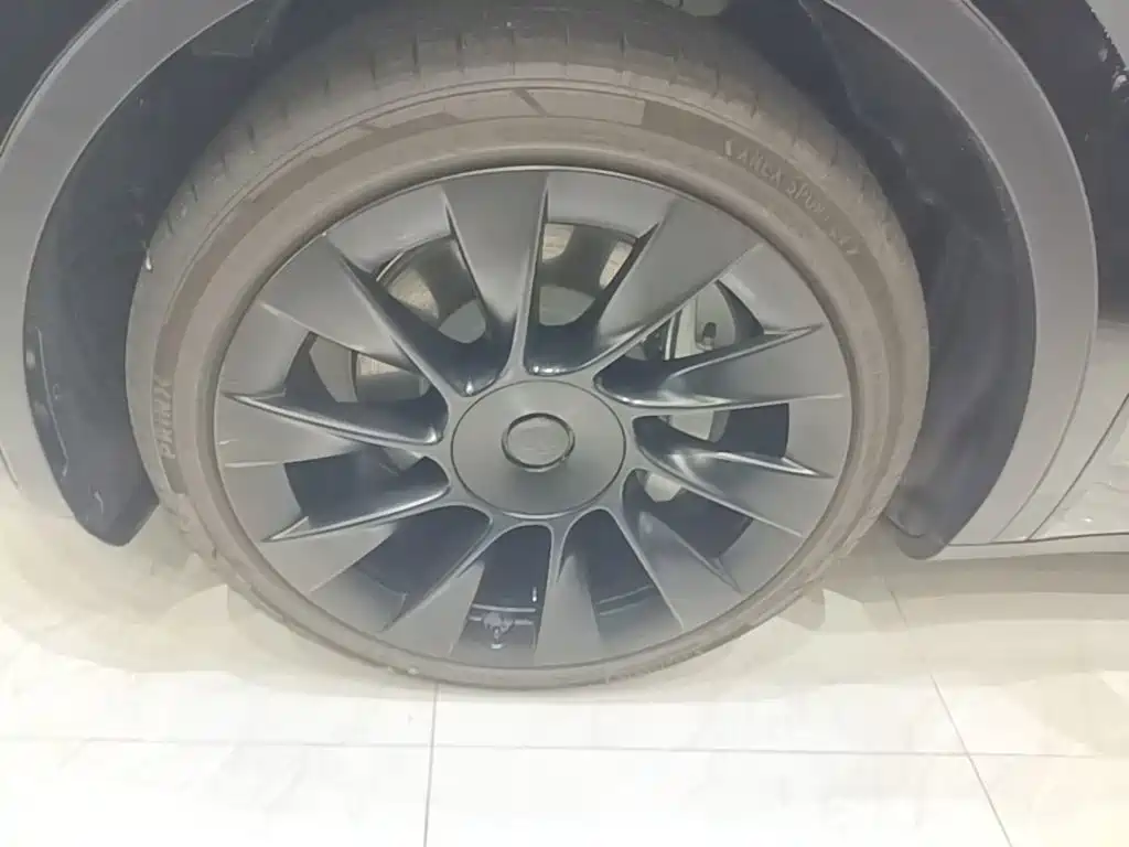 Tesla Model Y — миниатюра 23