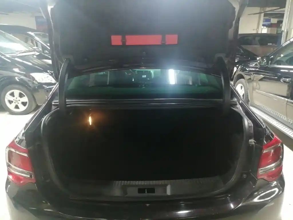 DS DS 5LS — миниатюра 19