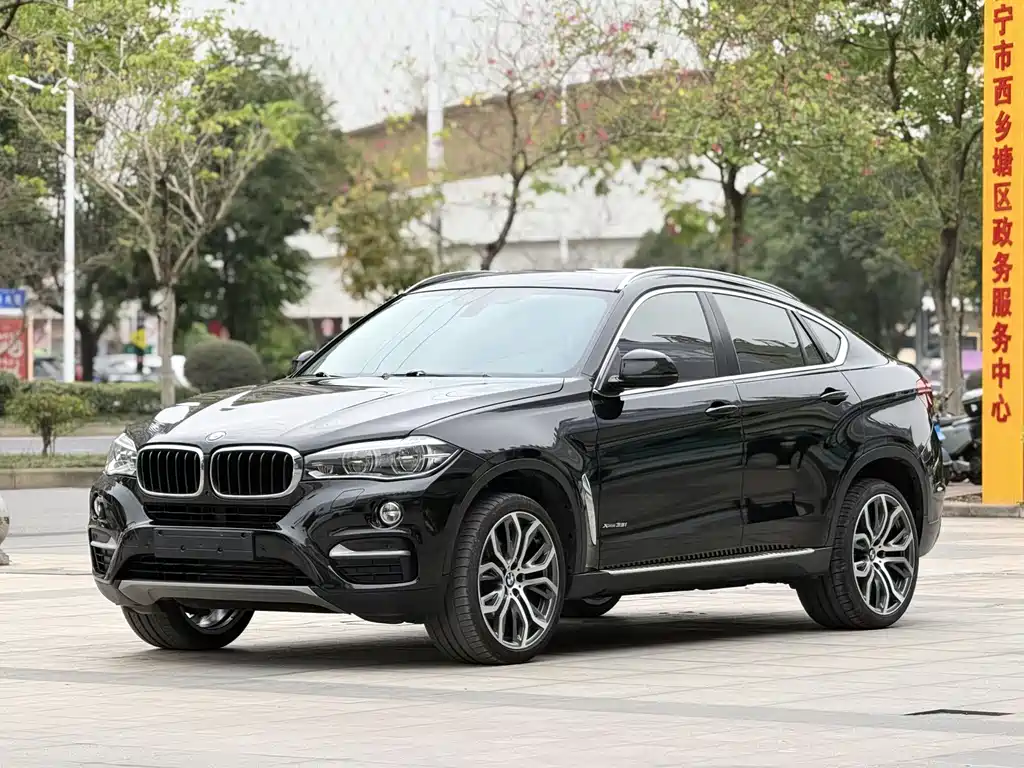 BMW X6