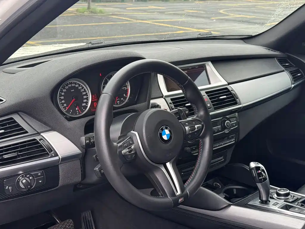 BMW X5 2010 X5 M