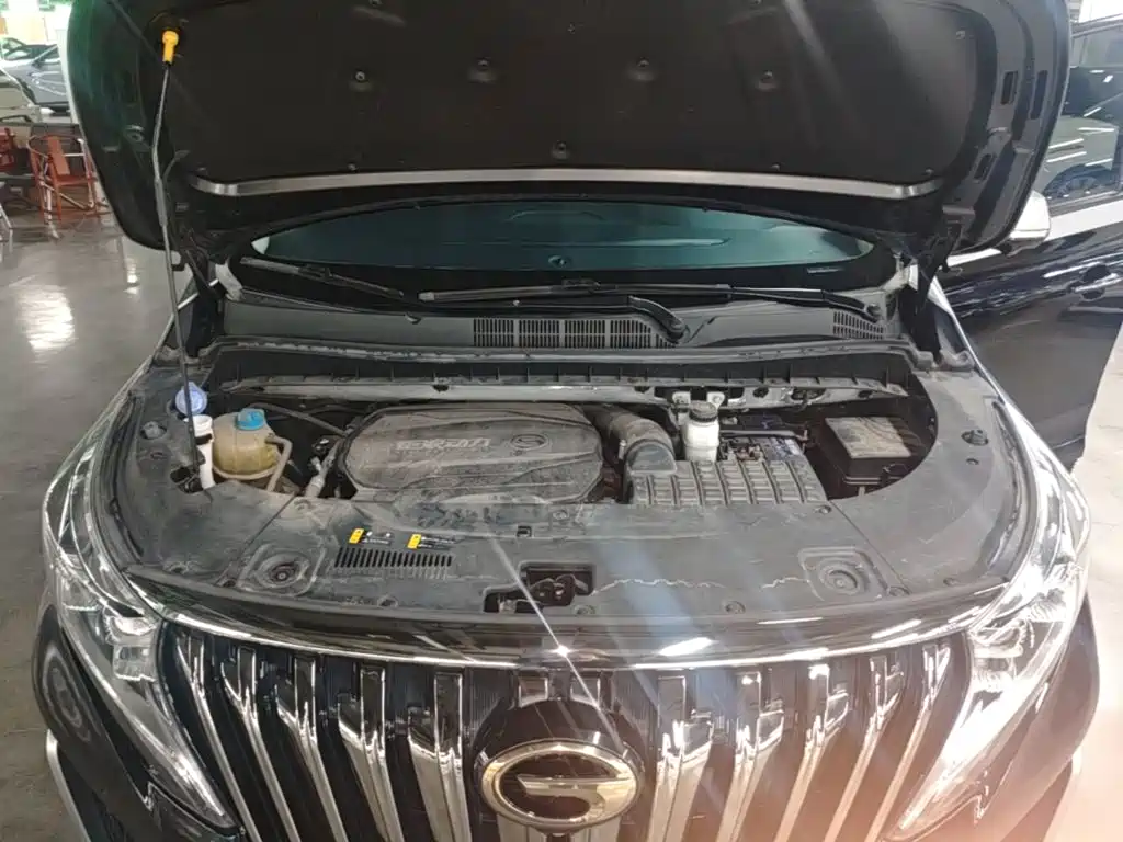 GAC Motor Trumpchi M8 — миниатюра 20