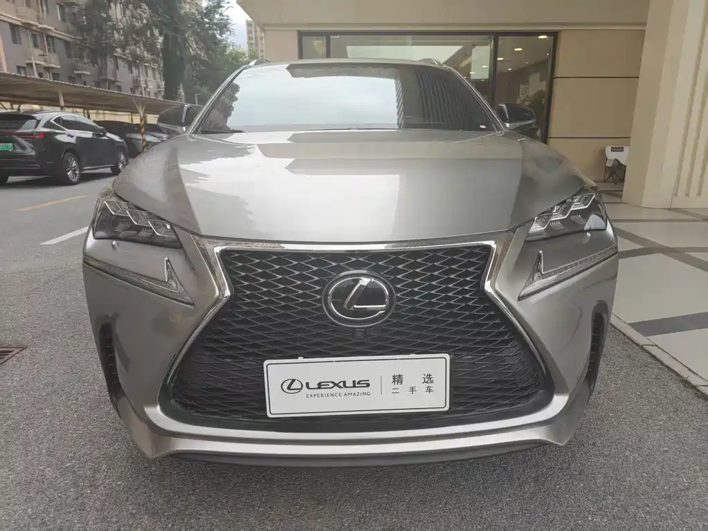 Lexus NX — миниатюра 2