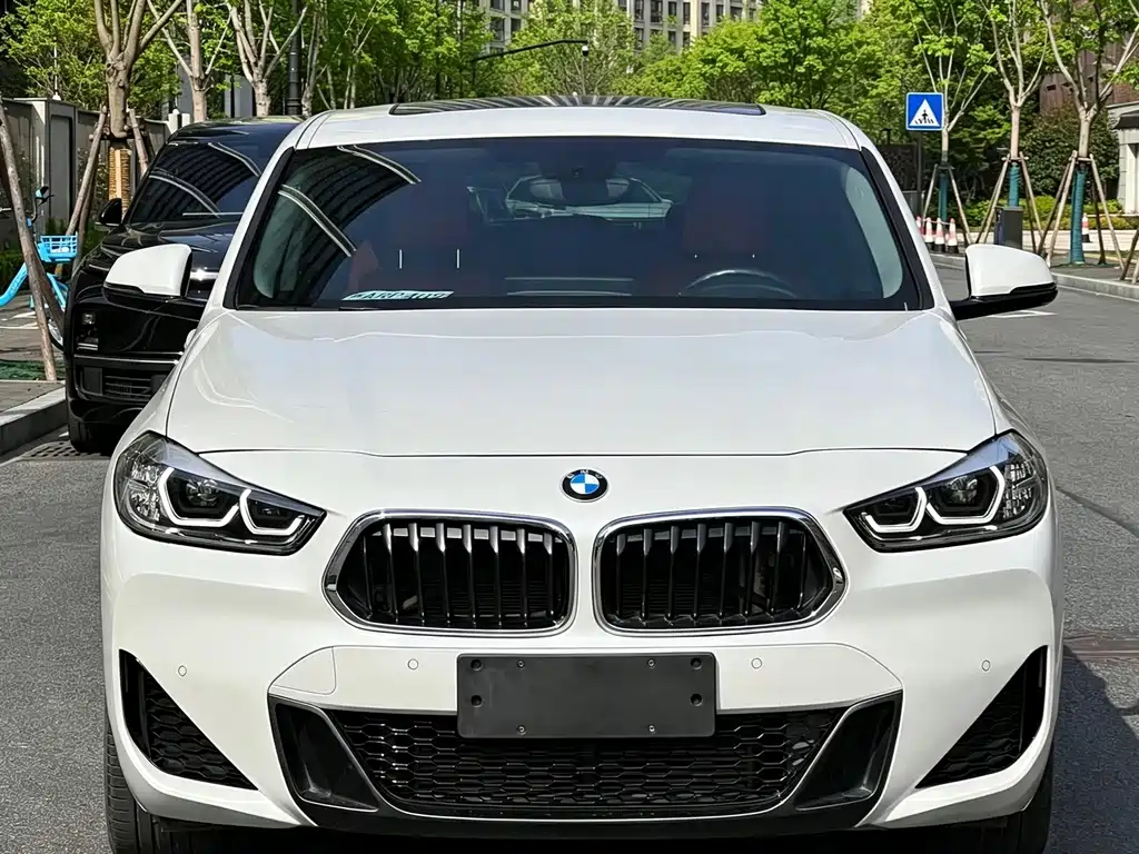 BMW X2 — миниатюра 2