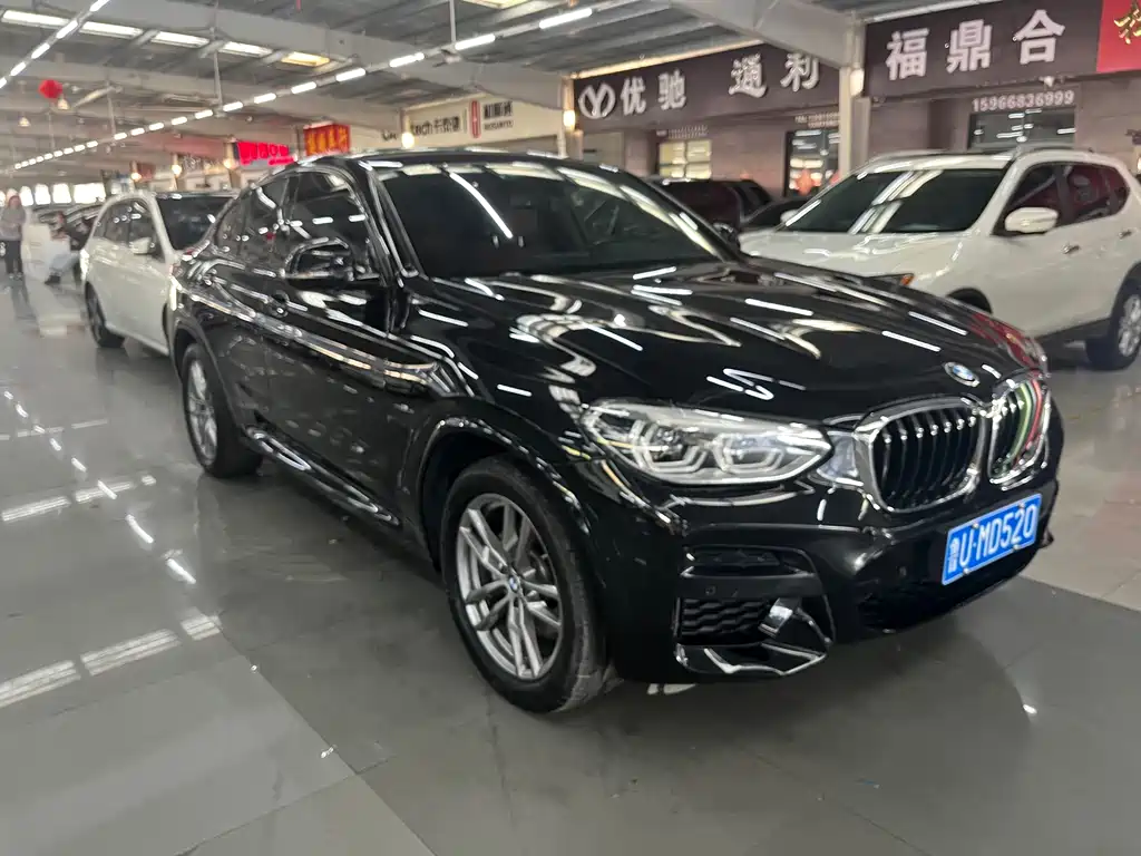 BMW X4 — миниатюра 8