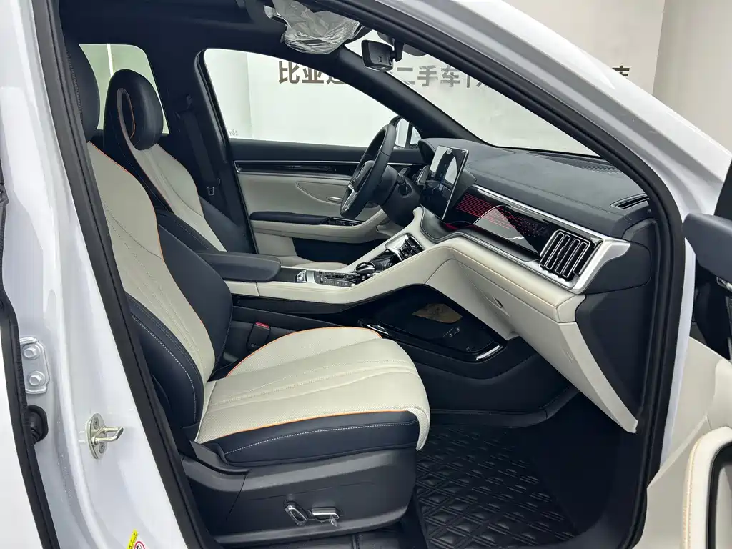 BYD PLUS New Energy — миниатюра 8