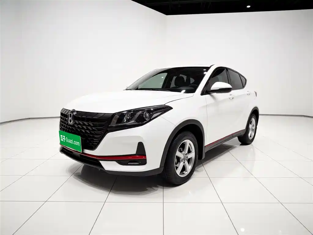 Fengguang Fengguang 500 2021