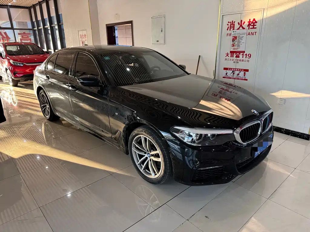 BMW 5 Series — миниатюра 3