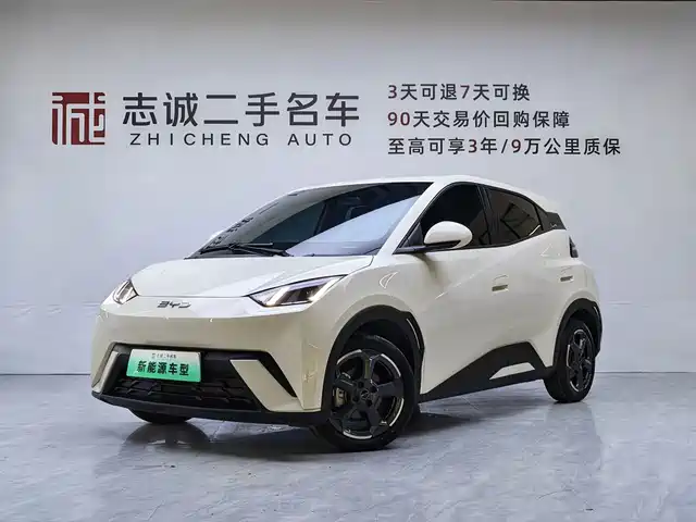 BYD Seagull