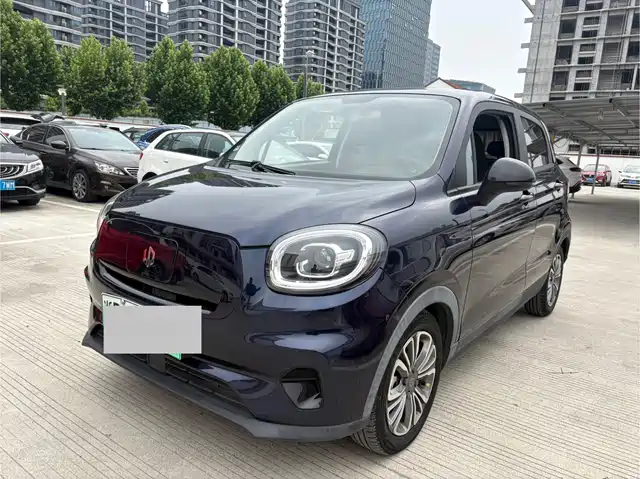2021 Leapmotor T03