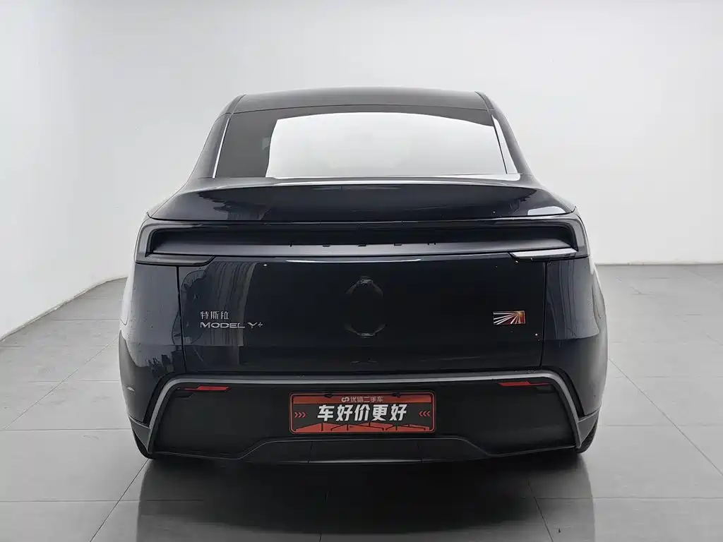 Tesla Model Y — миниатюра 4