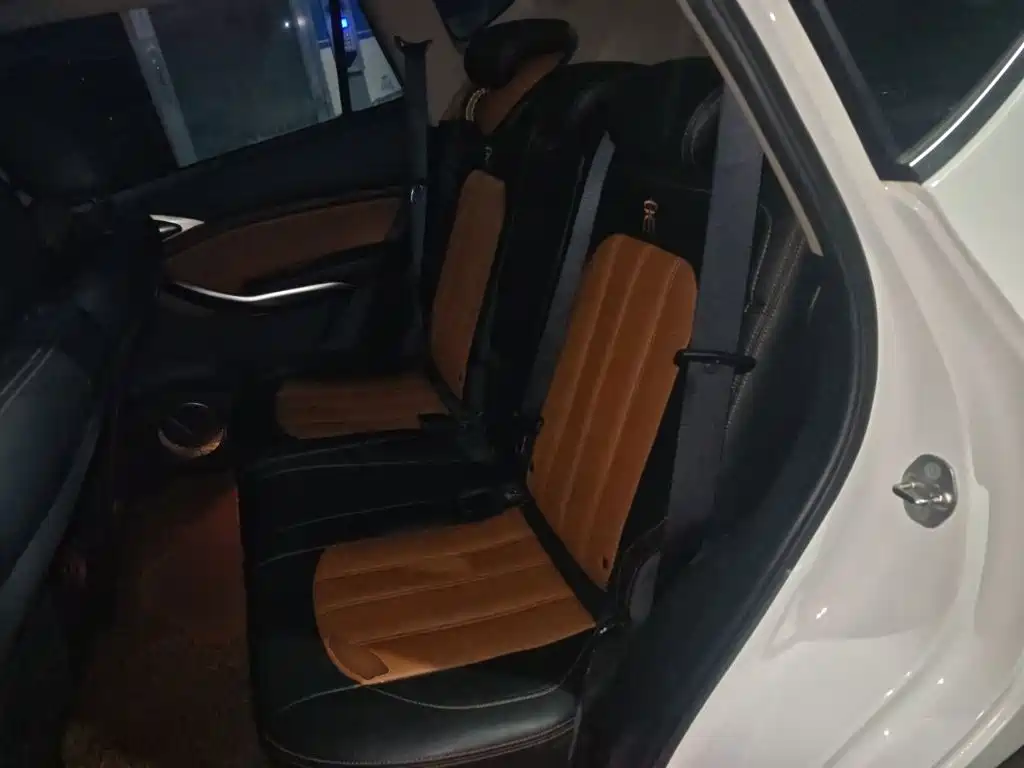 BYD Song — миниатюра 18
