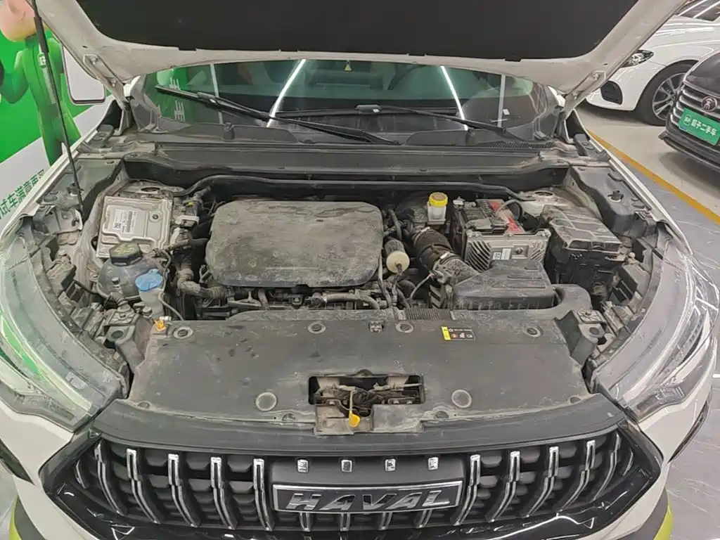 Haval Chitu — миниатюра 23