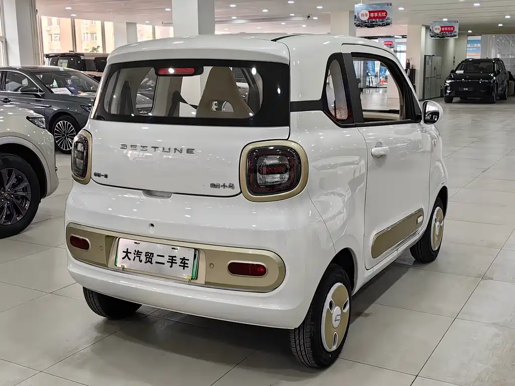 BESTUNE PENTIUM PONY