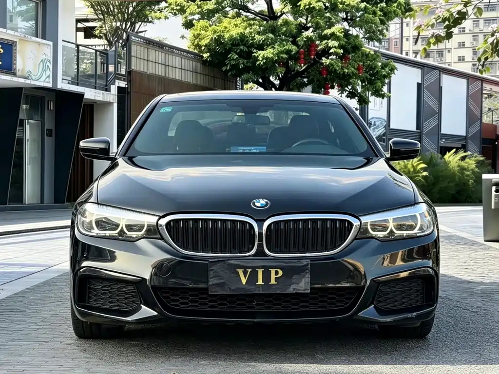 BMW 5 Series 5 2019 530Li Lead M Sport