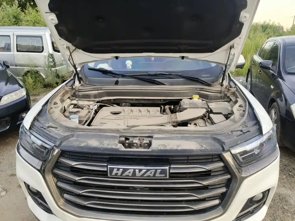Haval H6 — миниатюра 11