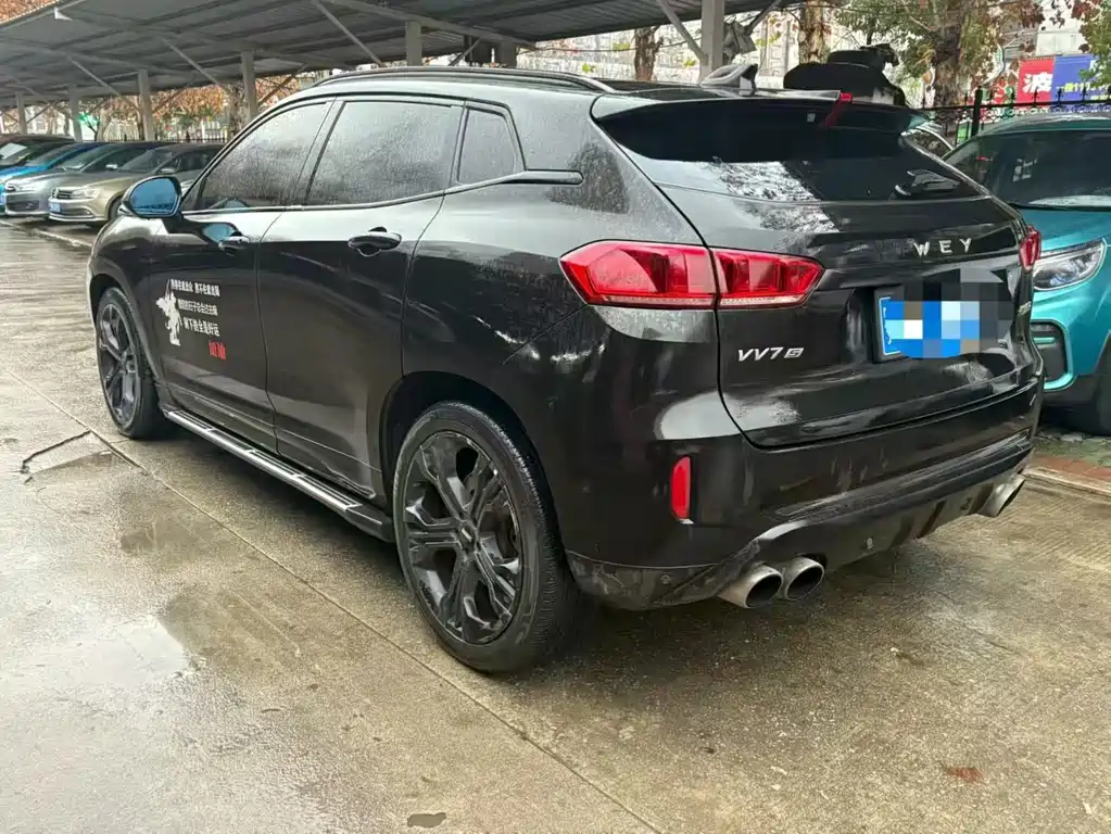 WEI PAI WEI BRAND VV7