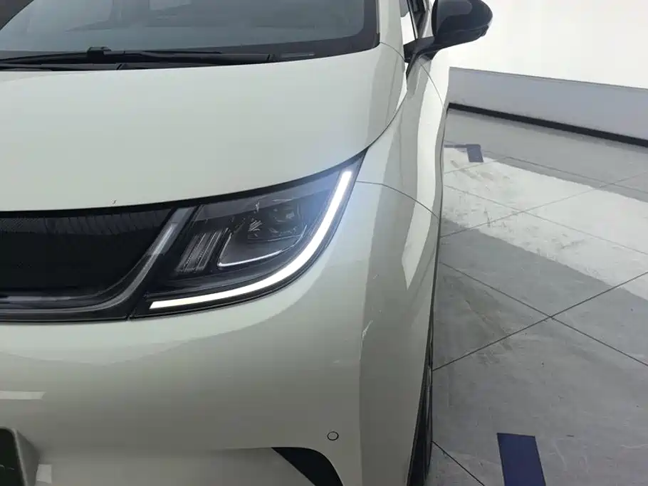 BYD Dolphin — миниатюра 5