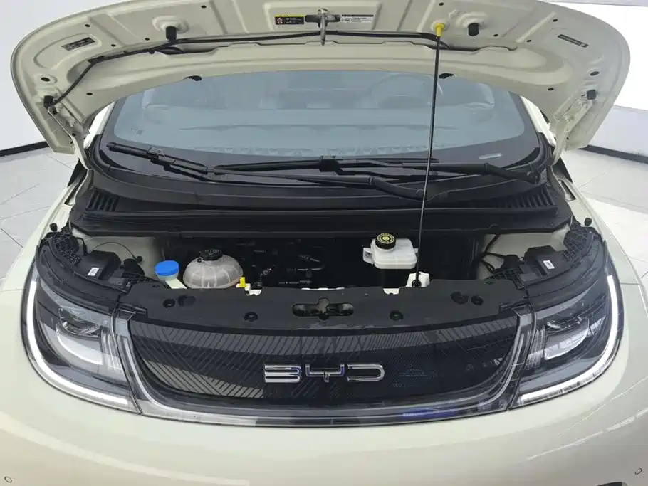 BYD Dolphin — миниатюра 10
